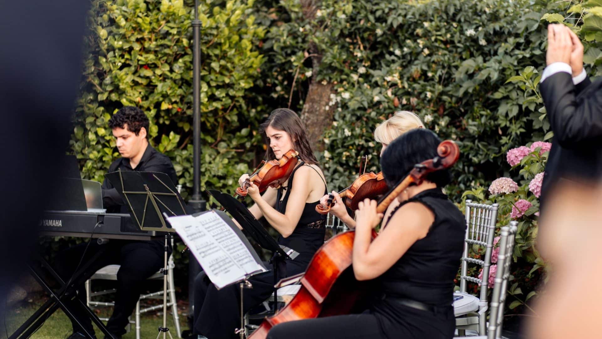 músicos boda musica omnia